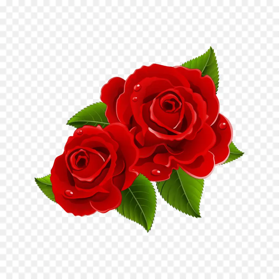 Rose Rouge，Feuilles PNG