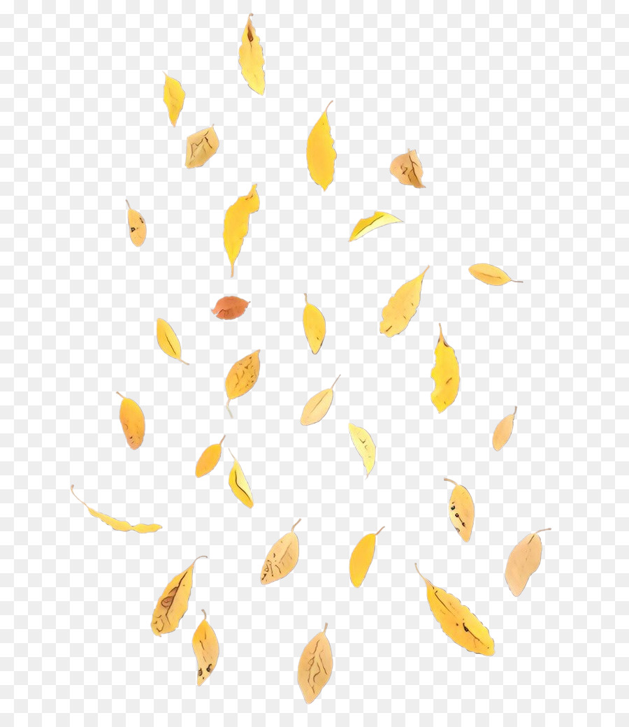 Feuilles Tombées，Automne PNG