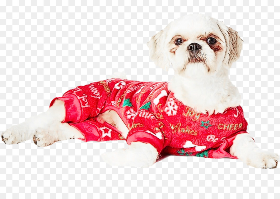 Chien En Pyjama，Shih Tzu PNG