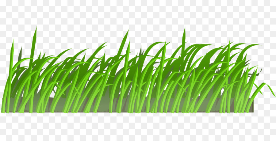 Vert，L'herbe PNG