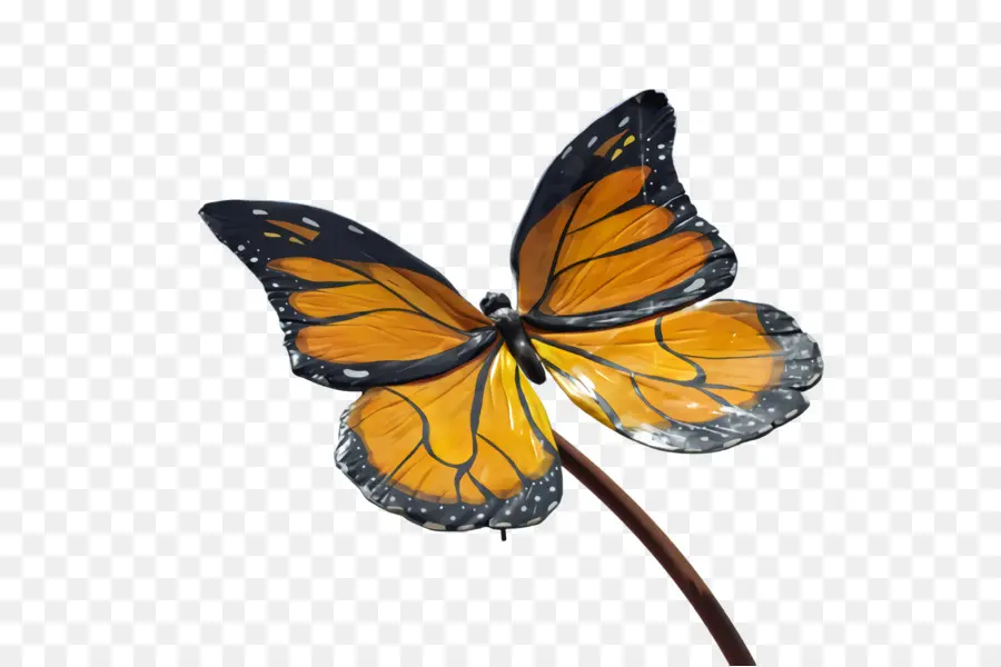 Papillons Et Papillons，Papillon PNG