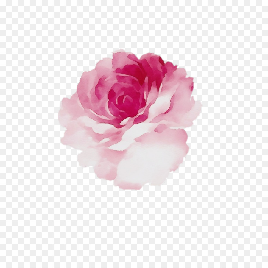 Fleur，Rouge PNG