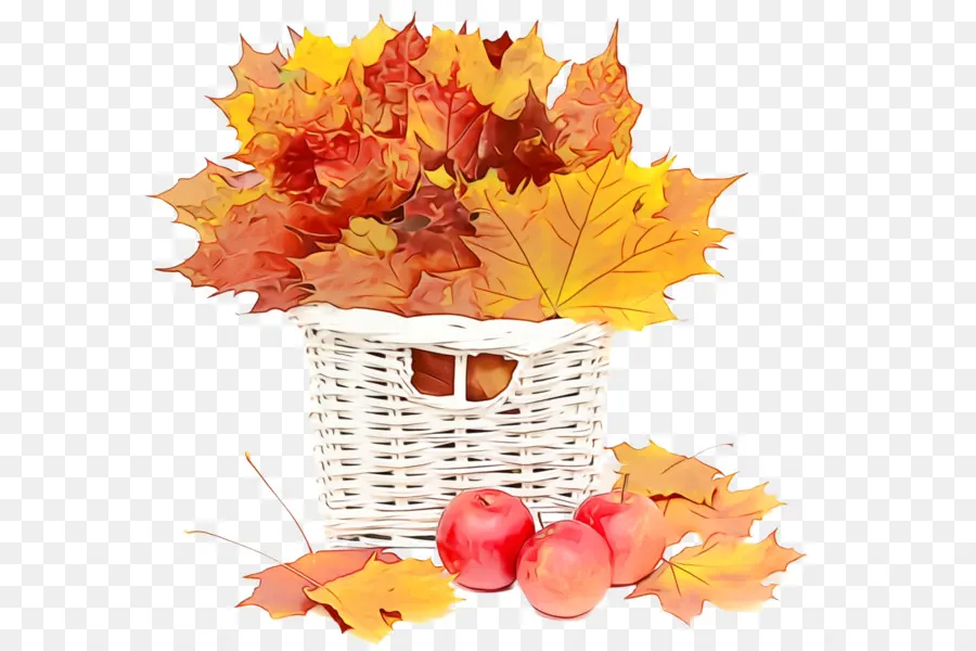 Feuilles D'automne，Panier PNG