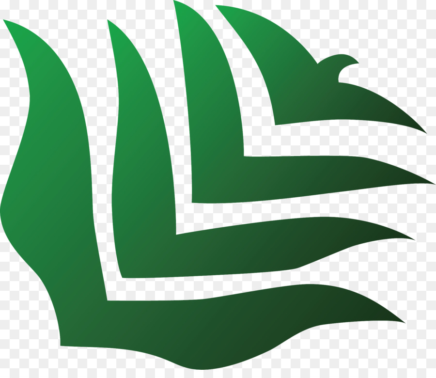 Feuille Verte，Usine PNG