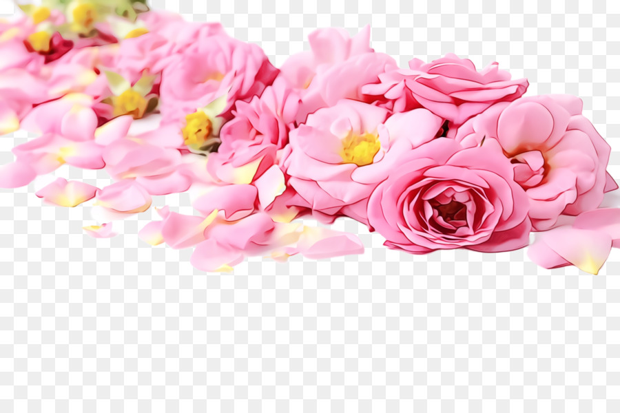 Roses Roses，Fleurir PNG