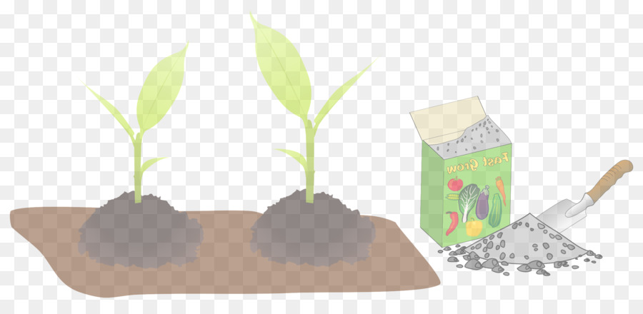 Feuille，Plante PNG