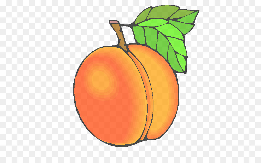 Fruits Oranges，Orange PNG