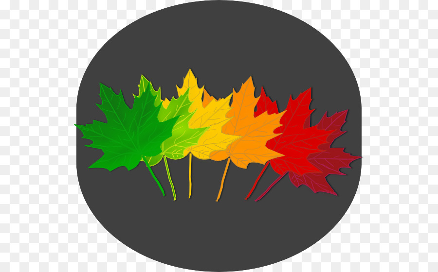 Feuilles Colorées，Automne PNG