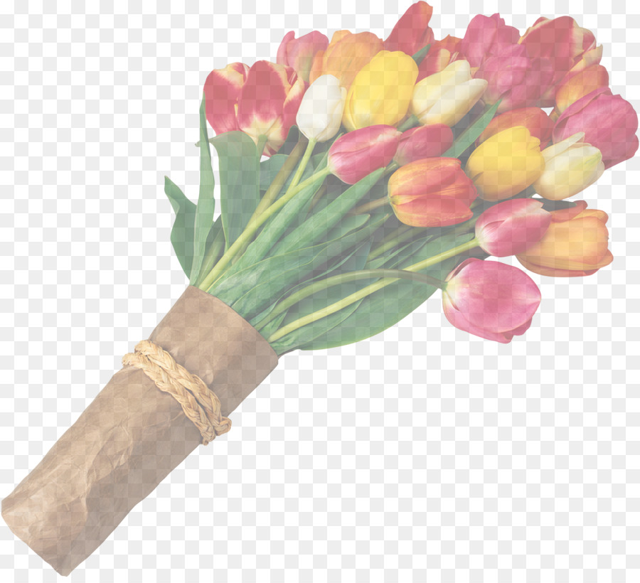 Tulip，Fleur PNG