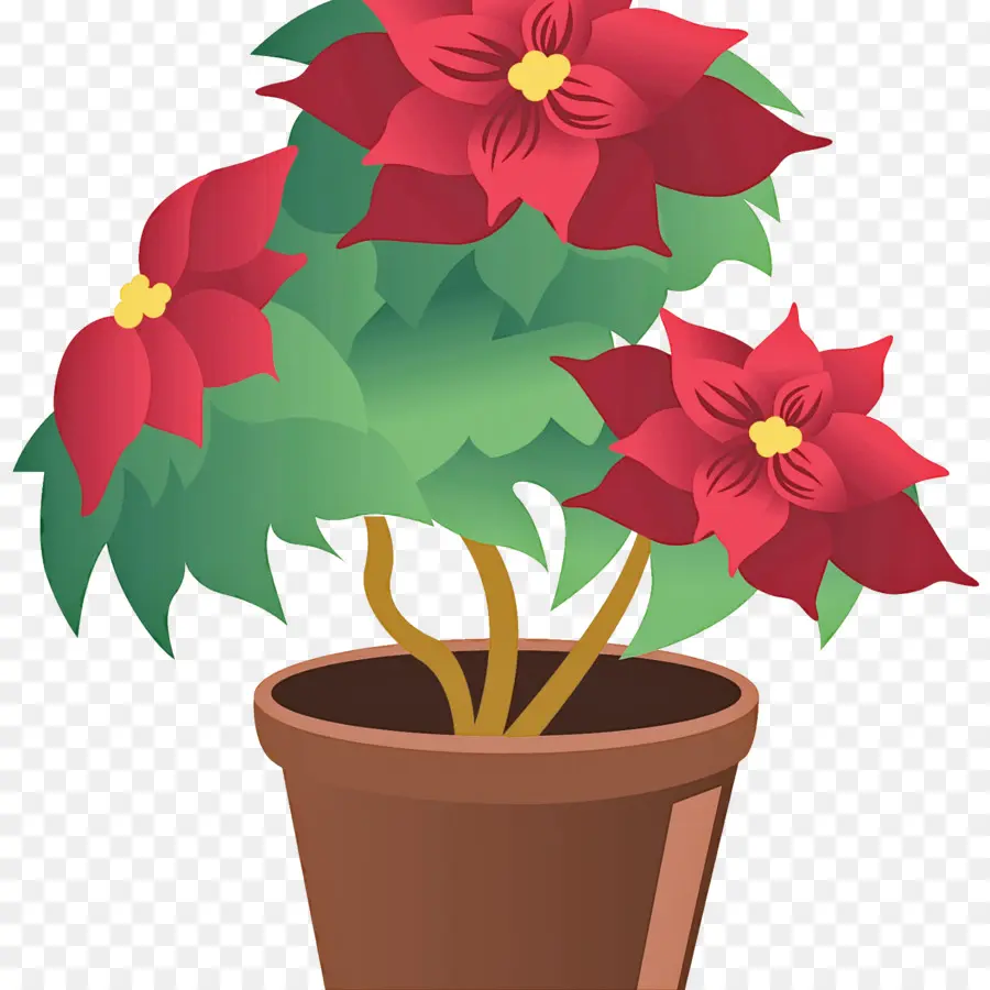 Plante En Pot，Fleurs Rouges PNG