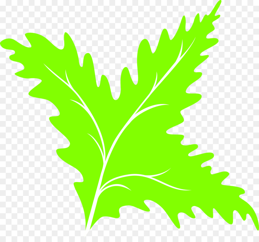 Feuille Verte，Usine PNG