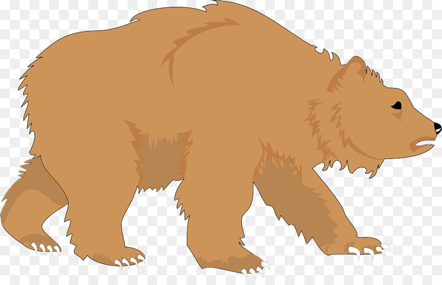 Ours，L'ours Brun PNG