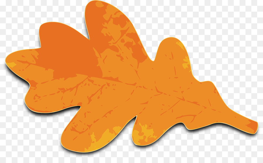 Orange，Feuille PNG