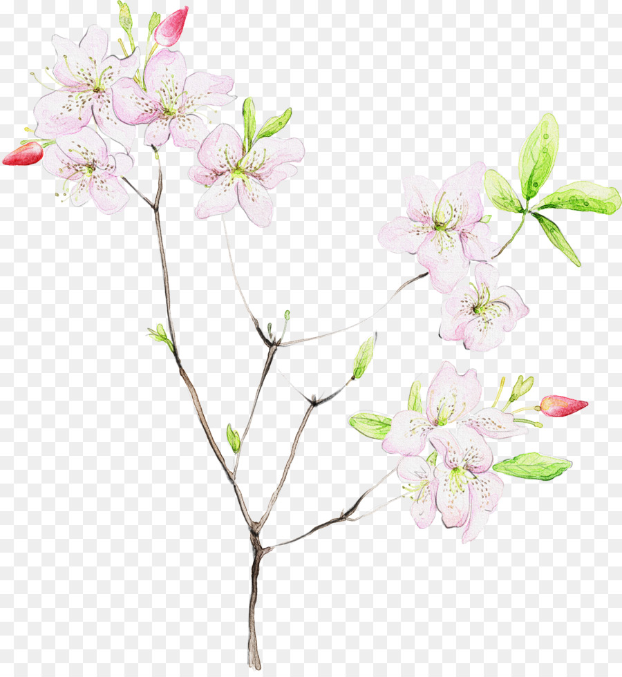 Fleur De Cerisier，Fleurs PNG