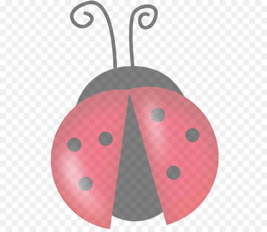 Rose，Insecte PNG