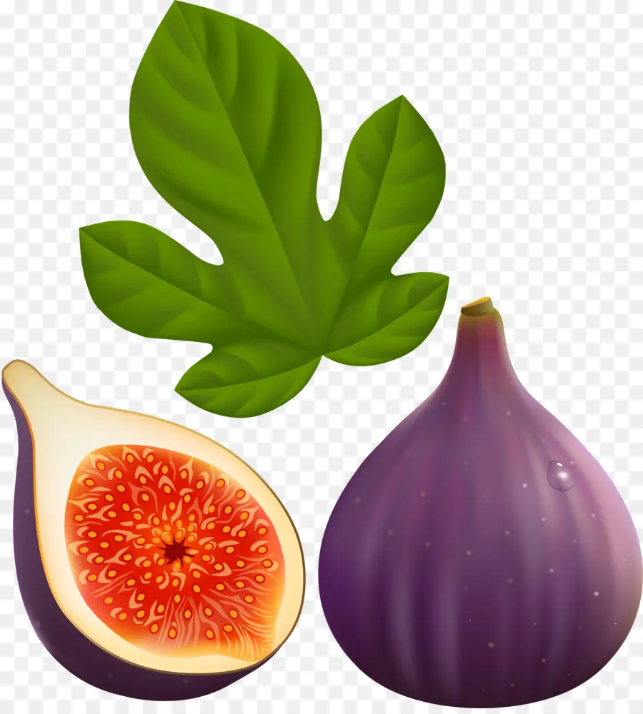 Figue，Feuille PNG