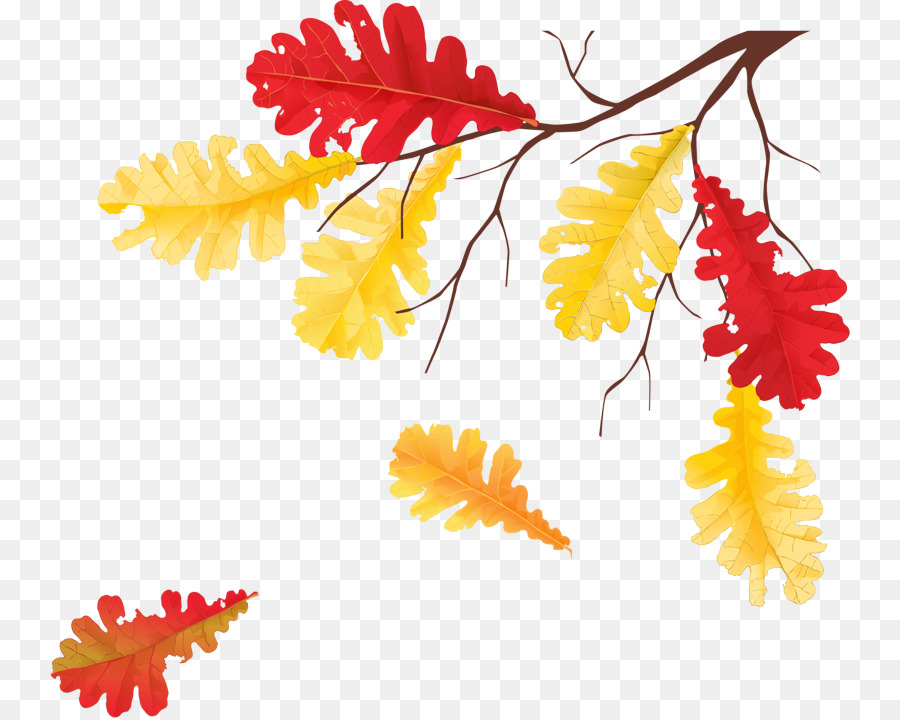 Feuilles D'automne，Automne PNG