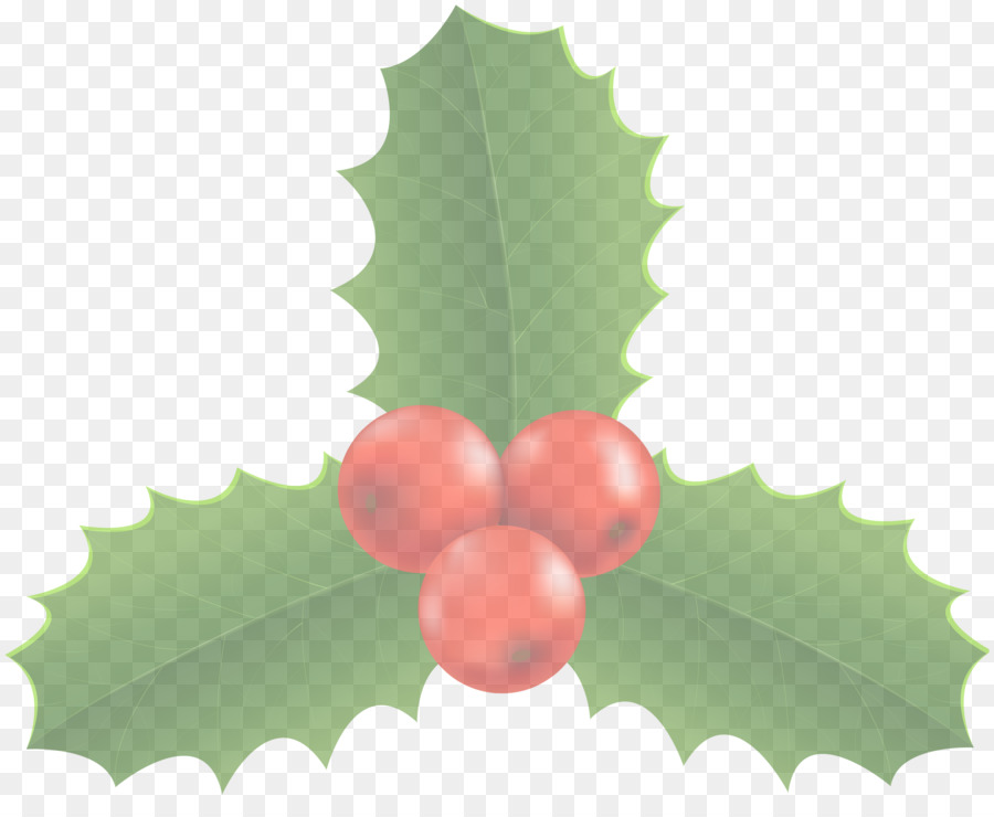 Houx，Feuille PNG