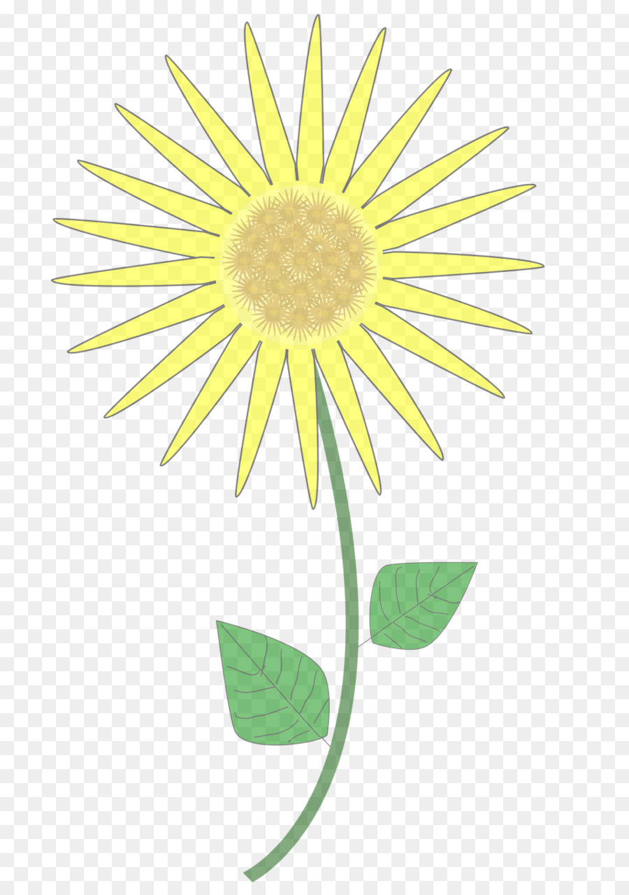 Tournesol，Usine PNG