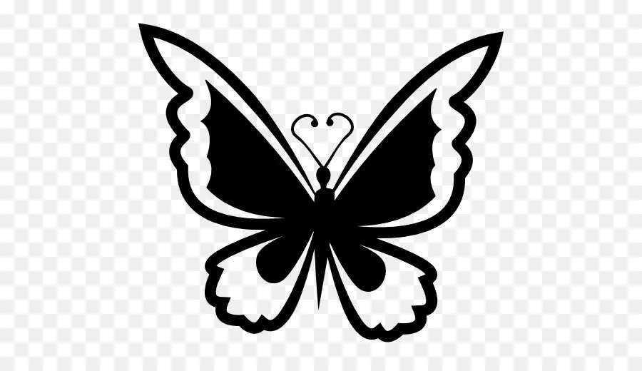 Papillon，Papillons Et Papillons PNG
