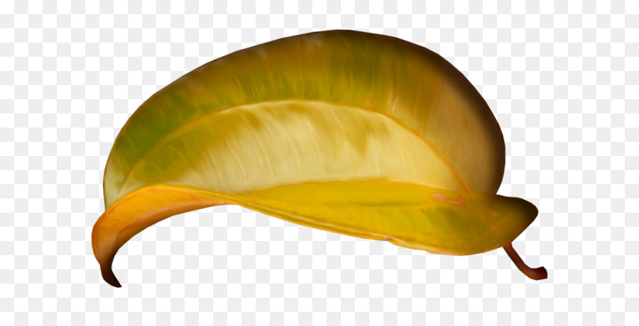 Feuille，Jaune PNG