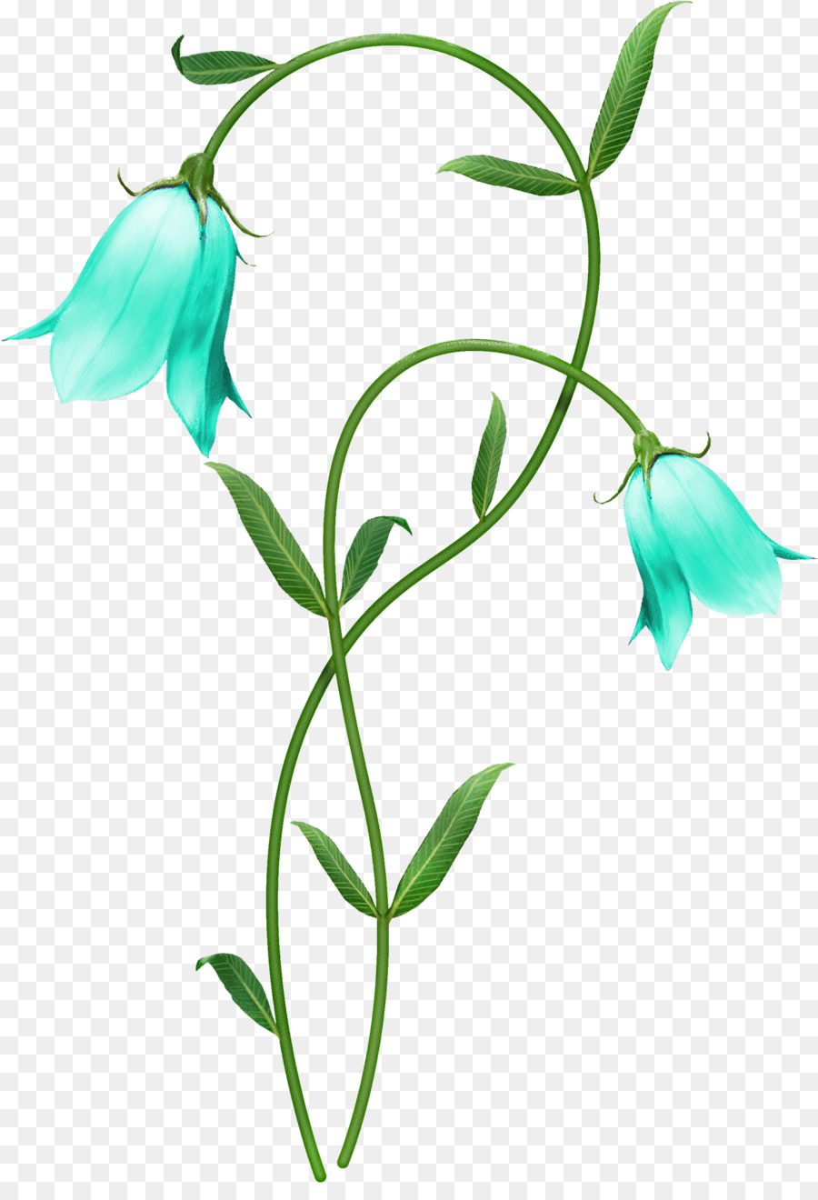 Fleur，La Floraison De La Plante PNG