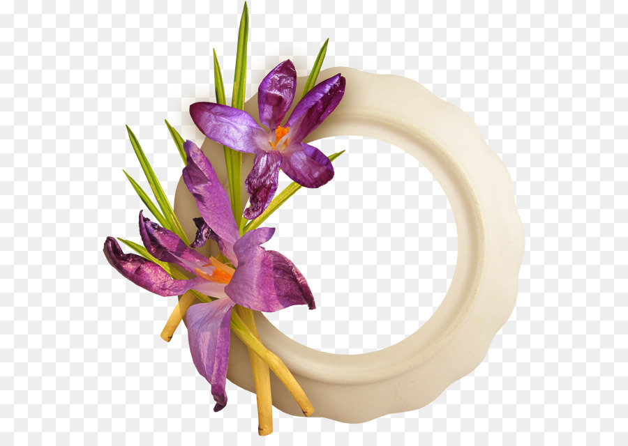 Fleur，Violet PNG