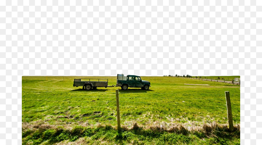 Les Prairies，Pâturage PNG