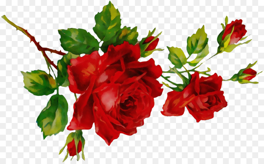 Roses Rouges，Bouquet PNG