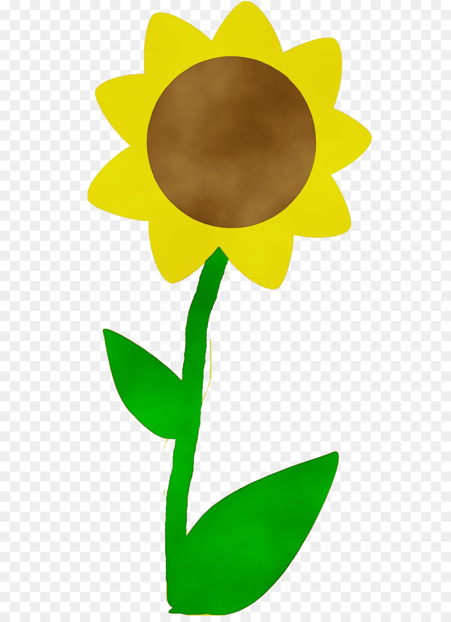 Tournesol，Fleur PNG