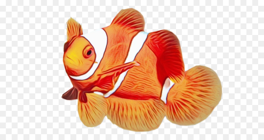 Poisson，Orange PNG