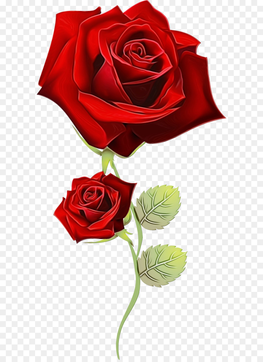 Rose，Rouge PNG