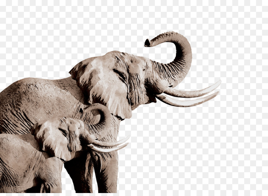 éléphant，éléphants Et Mammouths PNG