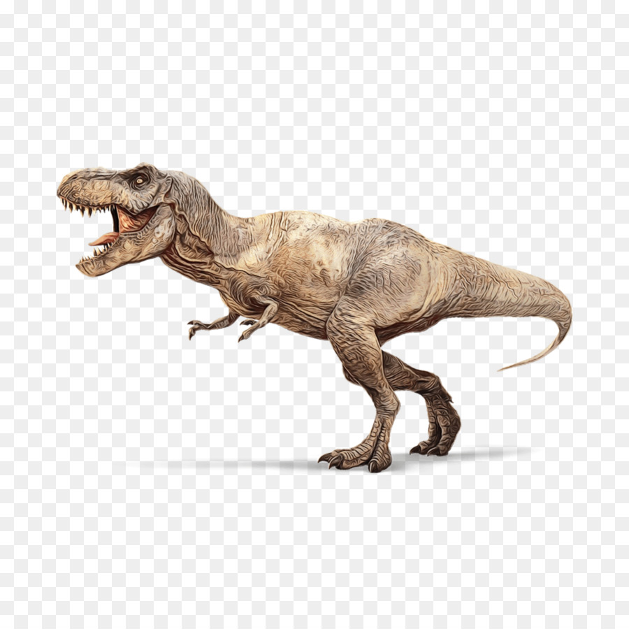 Dinosaure，Tyrannosaurus PNG