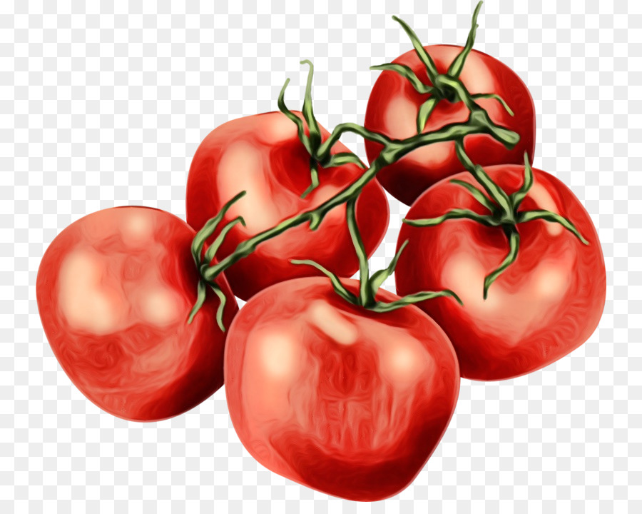 Tranches De Tomates，Légume PNG