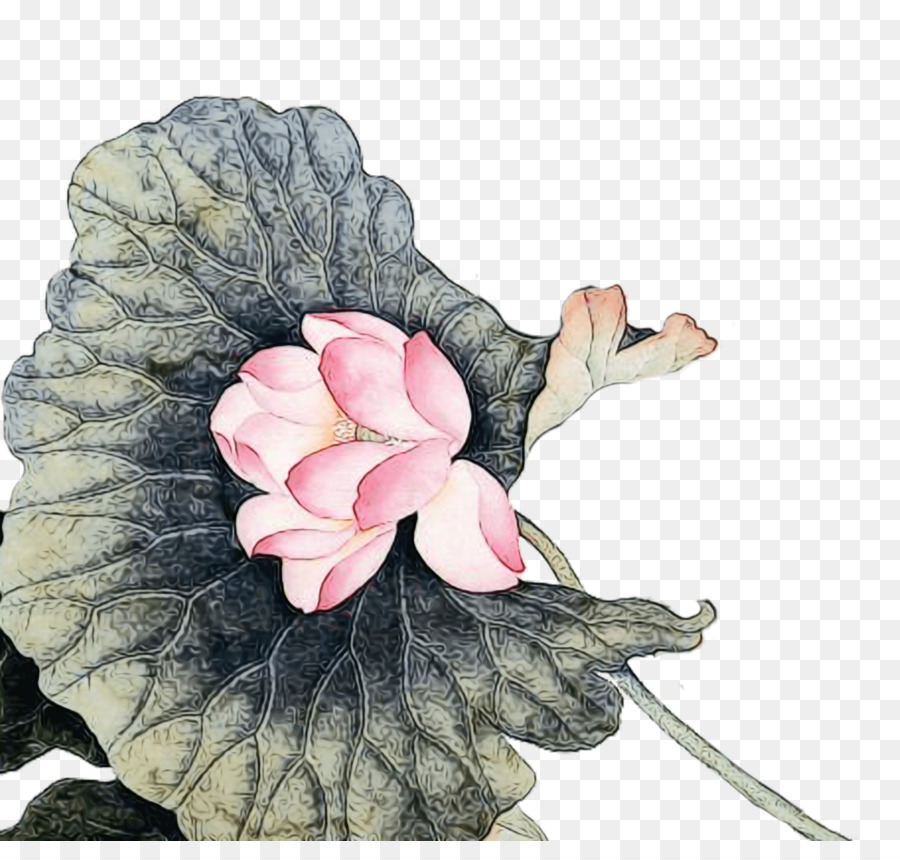 Fleur，Rose PNG