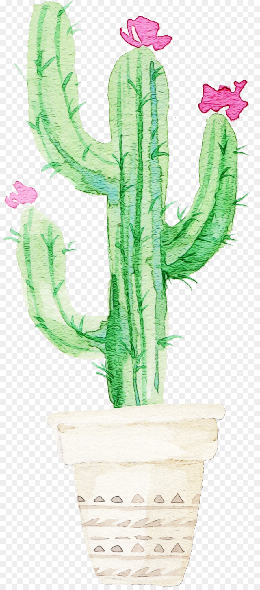 Cactus，Pot De Fleur PNG