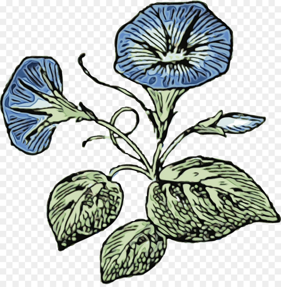 Fleur，Plante PNG