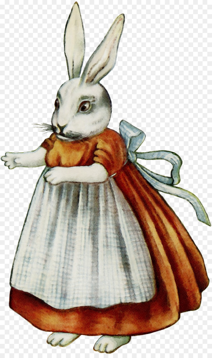 Un Lapin Domestique，Lapin PNG