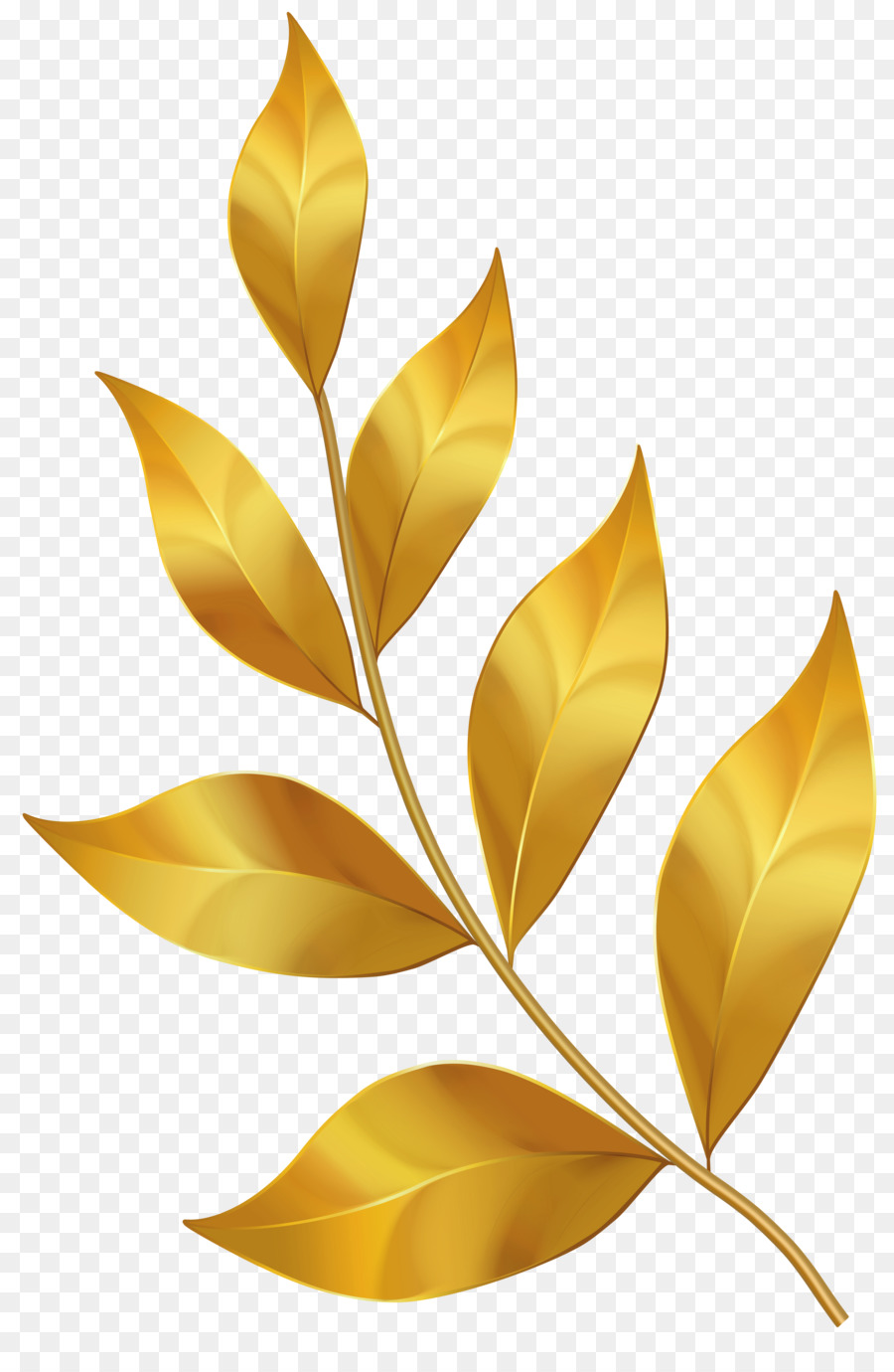 Feuille，Plante PNG