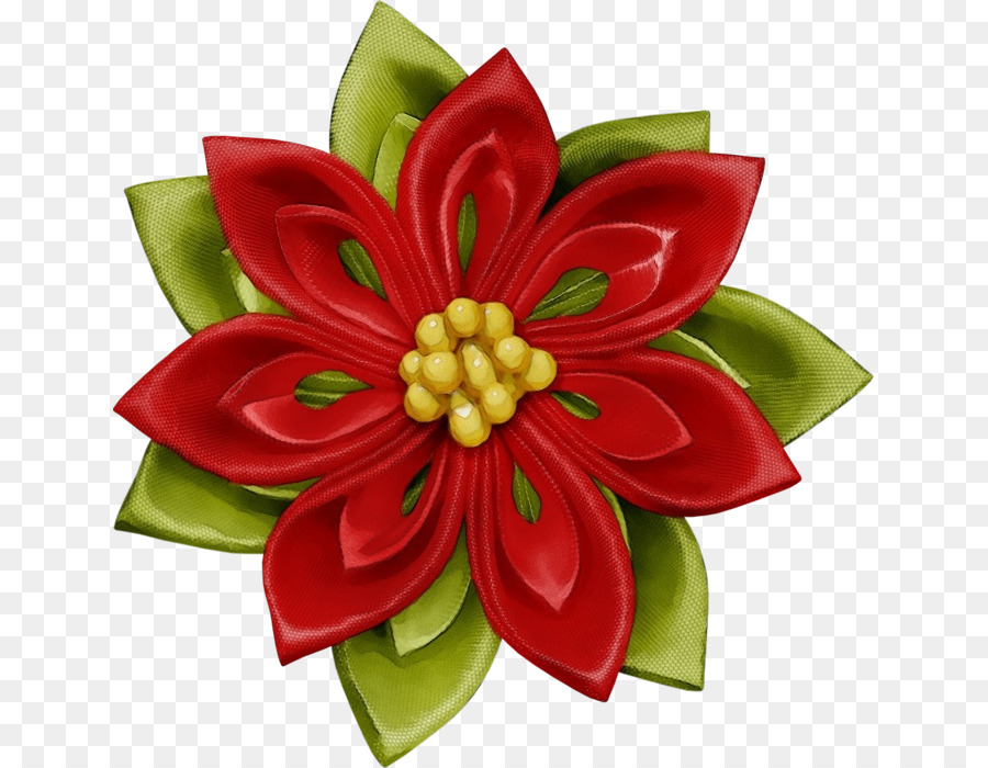 Poinsettia，Rouge PNG