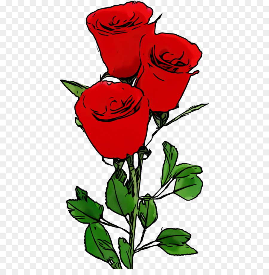 Rose，Rouge PNG