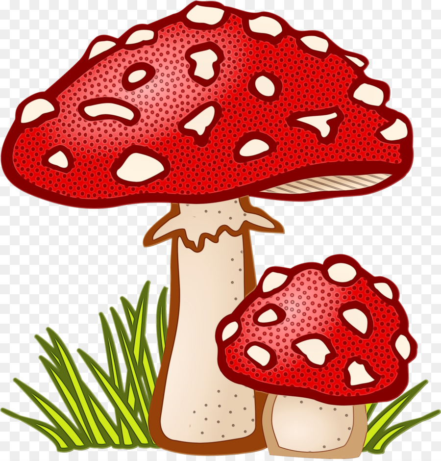 Champignons Rouges，Champignons PNG