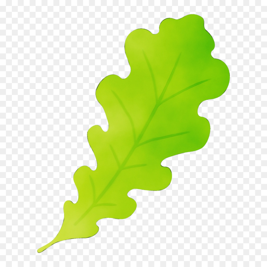 Feuille，Vert PNG