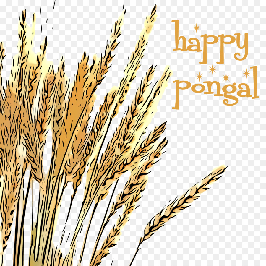 Elymus Repens，Triticale PNG