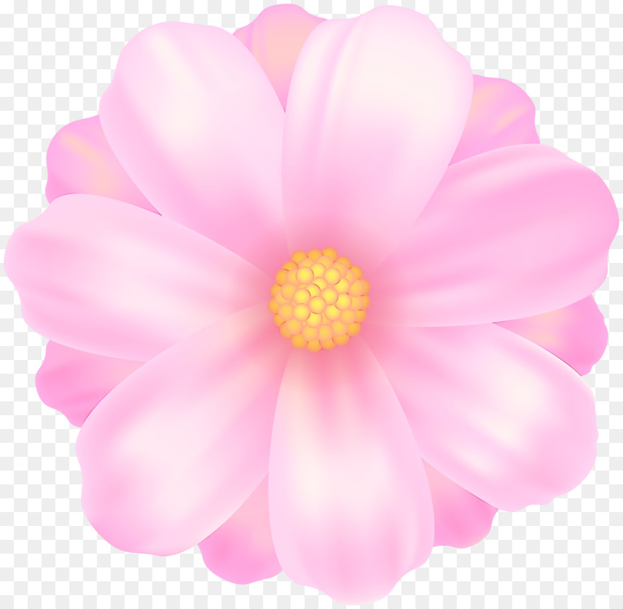 Fleur，Rose PNG