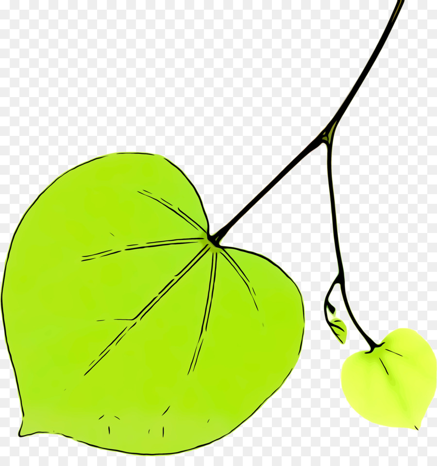 Feuille，Plante PNG