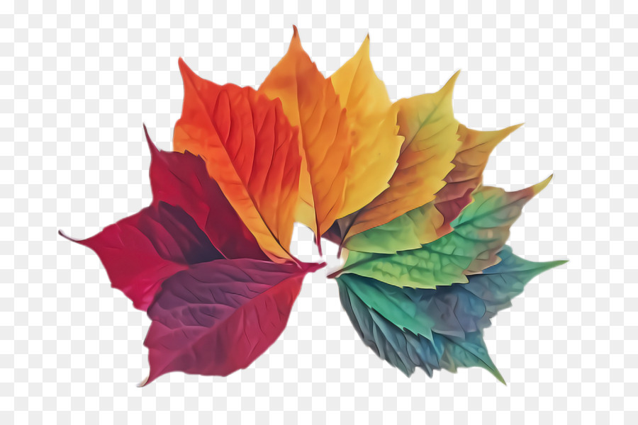 Feuilles D'automne，Automne PNG