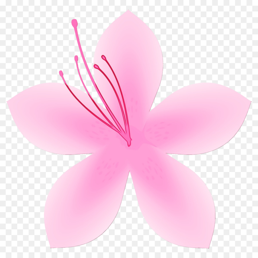 Fleur，Fleurir PNG