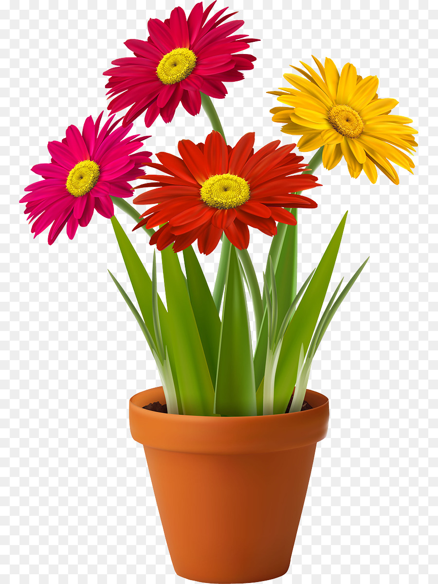 Fleurs Rouges，Pot PNG